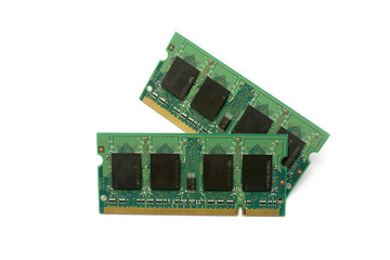 A board ram isolated in white background