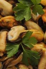 Cozze crude - Mytilus edulis