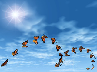le vol des papillons