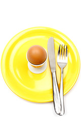 egg