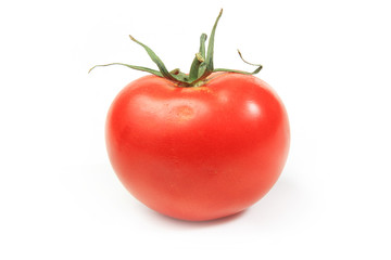 The fresh red tomato