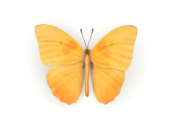Fototapeta na wymiar Orange Butterfly Isolated