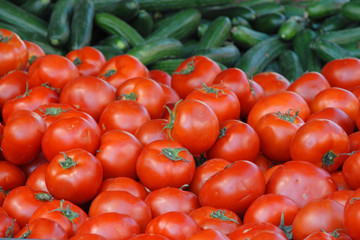 Tomaten und Gurken
