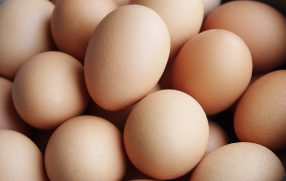 background from chicken eggs