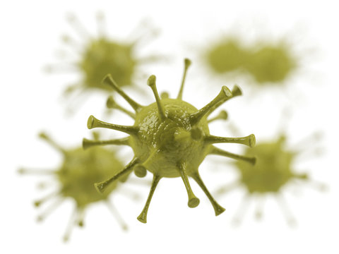 Viruses on a white background.