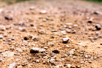 Terrain road with small rocks on the ground viewed from ground