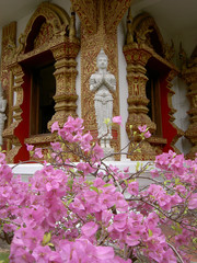 Buddhist temple in Chaing Mai, Thailand.