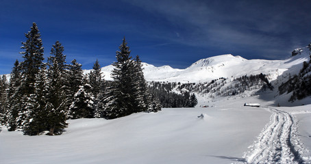 Fototapeta premium Winterlandschaft - winter landscape