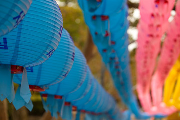 Buddhas Geburtstag © Angelika Bentin