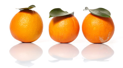 fresh oranges
