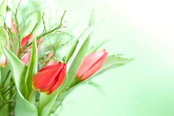 Blumenstrauß Tulpen