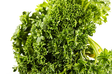 Parsley isolated on white
