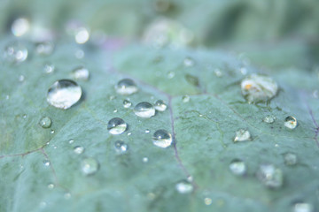 water drops