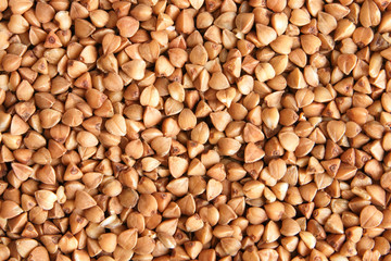 Buckwheat