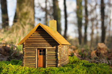 petite maison écologique.