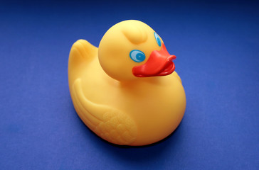 Yellow duckling toy