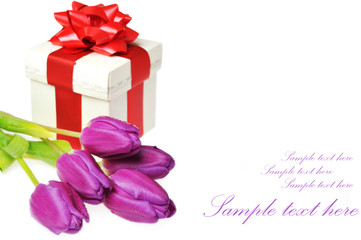 tulips and gift box