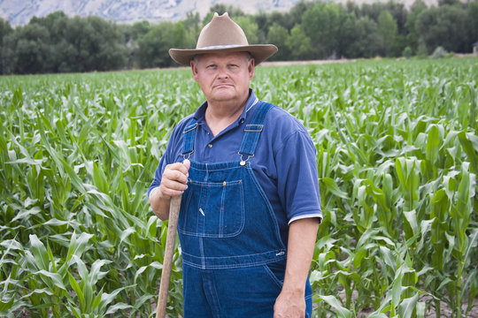 Hard Working Farmer Images – Browse 7,115 Stock Photos, Vectors, and Video  | Adobe Stock