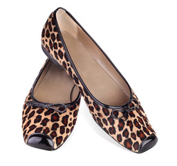Leopard Shoes