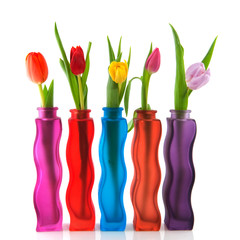 Colorful tulips