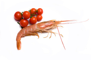 Gamberone E Grappolo Di Pomodorini