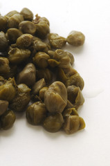 Capperi - Capparis spinosa