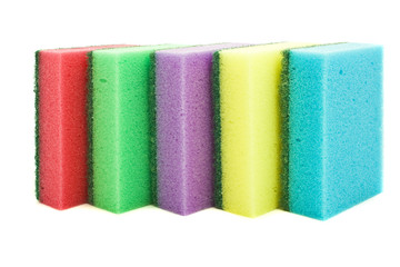 colorful sponges