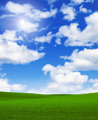 Landscape grass sky