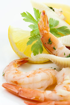 Scampi i Conchiglioni Giganti