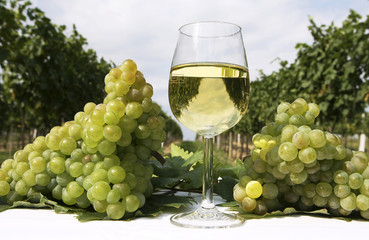 Weißwein und Weintrauben