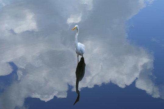 Egrat