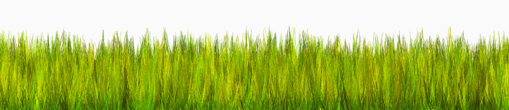 erba 3d - grass