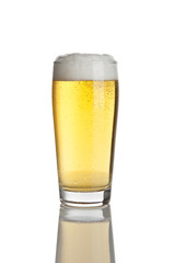 glass of fresh lager beer