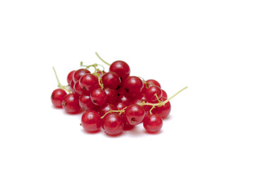 red currant