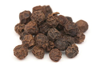 Spice