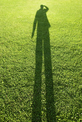 shadow of looking man on grass