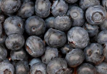 blueberry