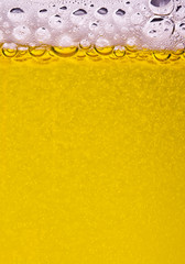 Beer background