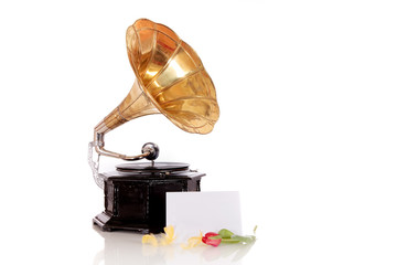 Easter tulips gramophone