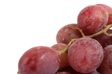 grape