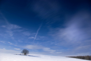 Winterlandschaft