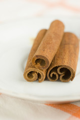 Cinnamon spice