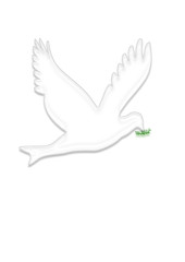 Paloma de la paz