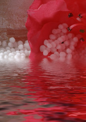 Homöopathie Naturheilkunde mit Globuli und Azalee im Wasser