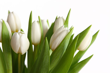 weiße tulpen-blumenstrauß