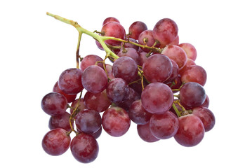 red grape