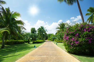 road in tropical garden