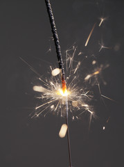 Fototapeta premium Sparkler