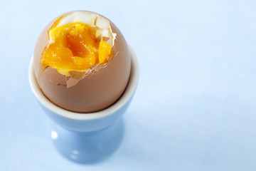 Boiled Egg