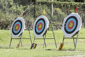 Flèches en cible